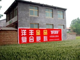 镇宁如何让墙体广告展现最大化效果