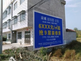 镇宁墙体广告质量分析