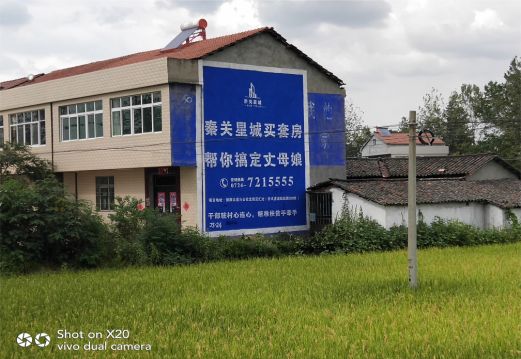 镇宁决定墙体广告价格的因素有哪些？