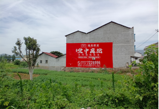 镇宁做墙体广告的意义